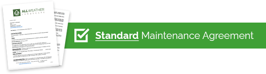 Standard Maintenance Agreement